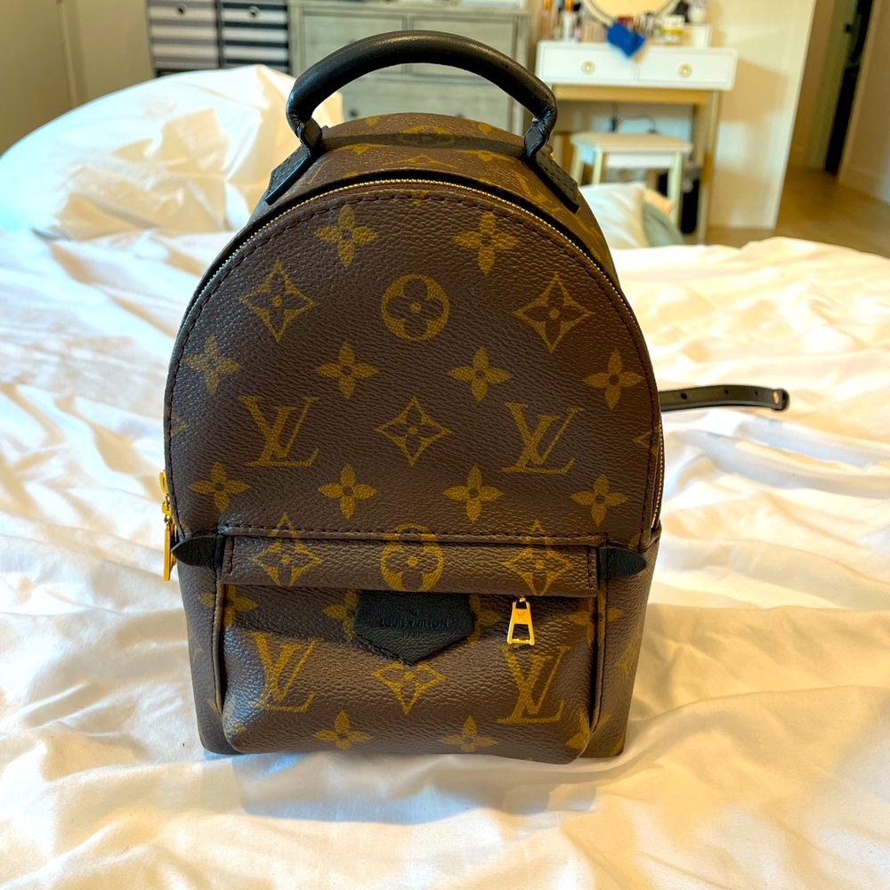 Louis Vuitton Palm Spring Mini Backpack
